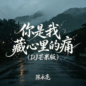 你是我藏心里的痛(DJ芒果版)