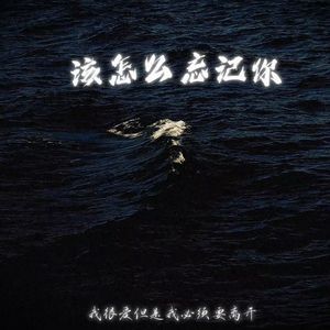 该怎么忘记你(prod.siren)