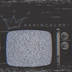 Karıncalar