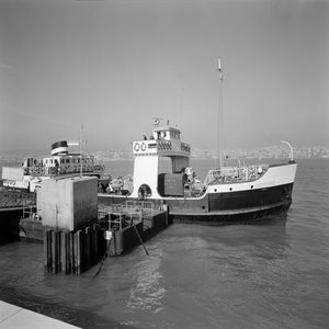 «O Cacilheiro de Lisboa»