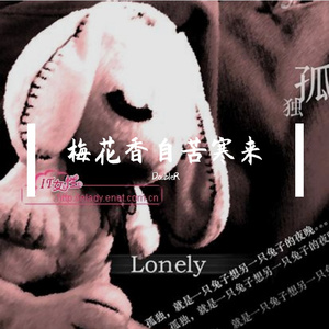 《梅花香自苦寒来》