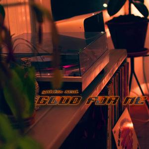 Nature Vibes (Ocean Birds)