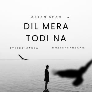 DIL MERA TODI NA (feat. Aryan Shah & Sanskar Sachala)