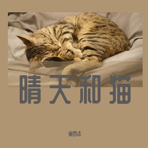 晴天和猫