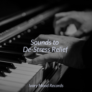 Echoes in Solitary Waves