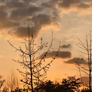 我的手机没电了