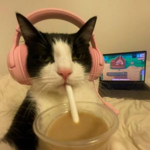 Lost Woods Jersey Club