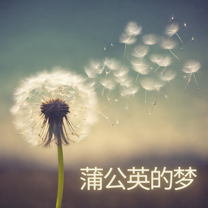 蒲公英的梦