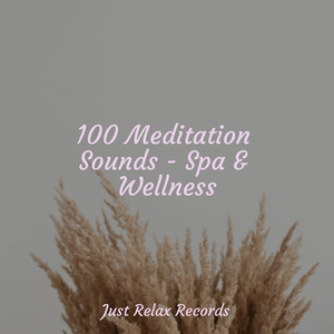 Melancholy Melodies in Shade