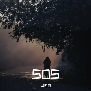 S.O.S.-SOS（刘困困 remix）
