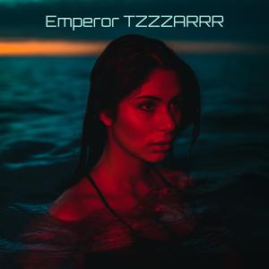 Age of Danzatron (feat. Sayam Raj Sagar)