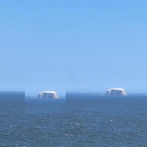 Lebensabschnittsgefährte