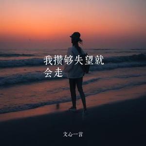 我攒够失望就会走