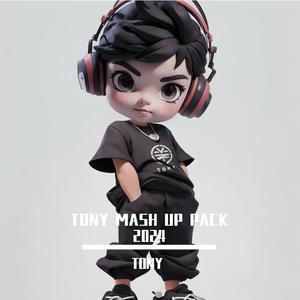 暴风雪Die for you(TONY MASHUP)