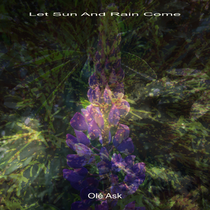 Let Sun And Rain Come