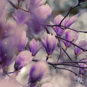 Blossom