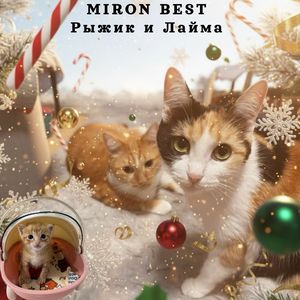 Рыжик и Лайма