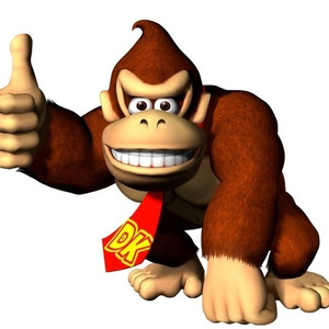 DonkeyKong****edPeach