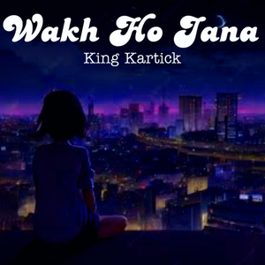 Wakh Ho Jana (Lofi)