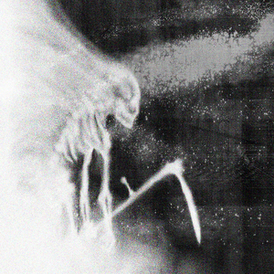 aureate w/ drew the architect