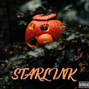 Starlink