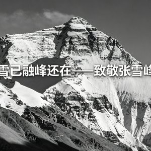 雪融峰还在