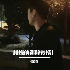 迷醉的爱情（翻新）