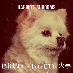 Hagrid's Shrooms