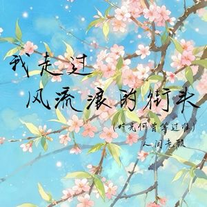 我走过风流浪的街头（时光何曾等过谁）