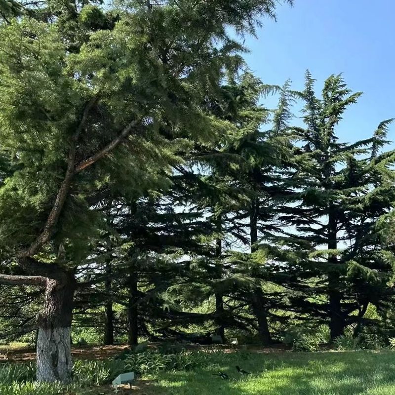 Marktaste封面