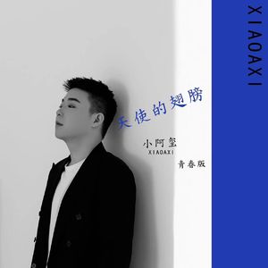 天使的翅膀完整版