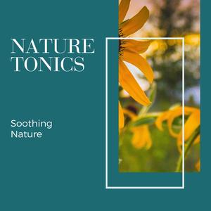 Gurgling Water and Soothing Sound