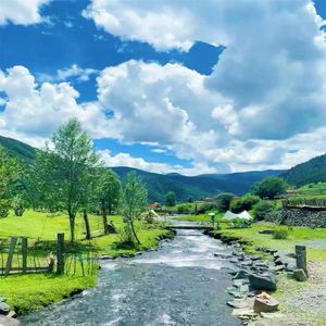 无需辞别 化作一道彩虹的光