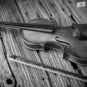 Violon