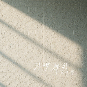 习惯独处