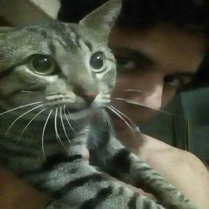 O Dragão Branco de Olhos Azuis