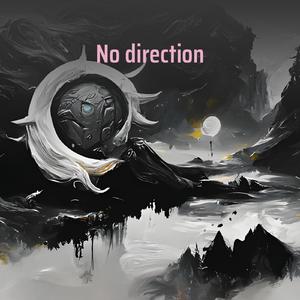 No Direction