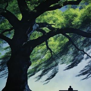 拨开天空的乌云 (车载专用卡点版)