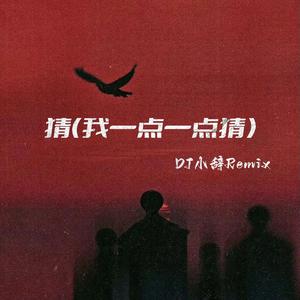 猜（DJ小辞Remix）