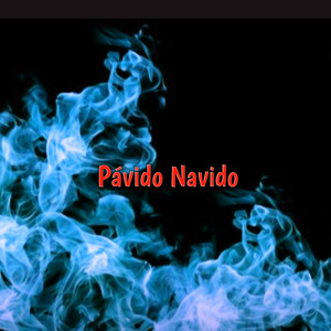 Pavido Navido