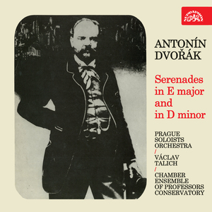Serenade for Strings in E Major, Op. 22:I. Moderato