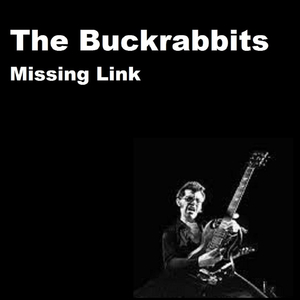Missing Link