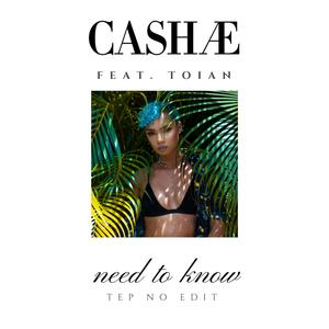 Need to Know (feat. Toian) [Tep No Edit] (Tep No Edit) (Tep No Edit)