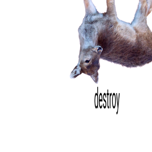destroy