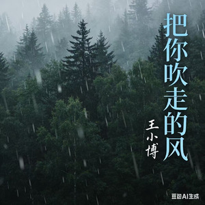 把你吹走的风