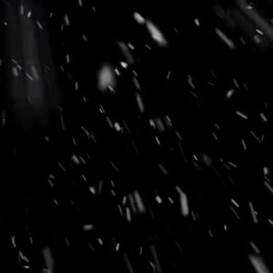 花开花落花无悔DJ