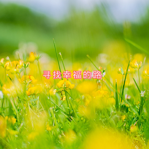 寻找幸福的路