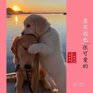 我的爱给谁都热烈