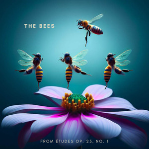 The Bees from Etudes, Op. 25, No. 1