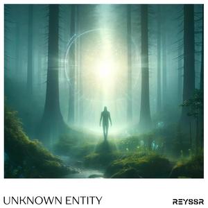 Unknown Entity